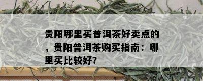 贵阳哪里买普洱茶好卖点的，贵阳普洱茶购买指南：哪里买比较好？