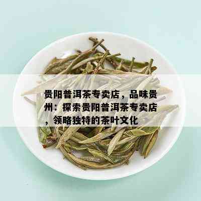 贵阳普洱茶专卖店，品味贵州：探索贵阳普洱茶专卖店，领略独特的茶叶文化