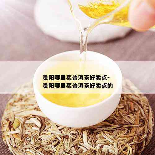 贵阳哪里买普洱茶好卖点-贵阳哪里买普洱茶好卖点的