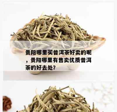 贵阳哪里买普洱茶好卖的呢，贵阳哪里有售卖优质普洱茶的好去处？