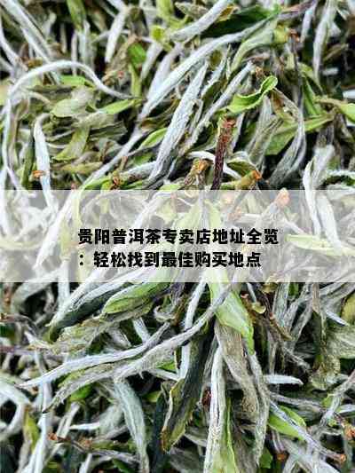 贵阳普洱茶专卖店地址全览：轻松找到更佳购买地点