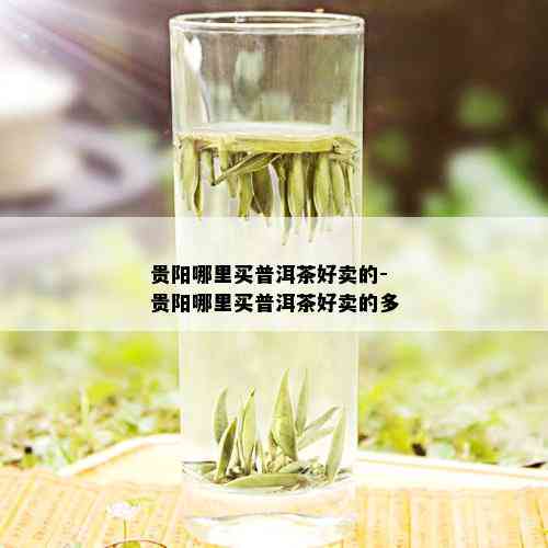 贵阳哪里买普洱茶好卖的-贵阳哪里买普洱茶好卖的多