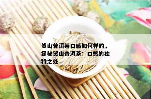 贺山普洱茶口感如何样的，探秘贺山普洱茶：口感的独特之处