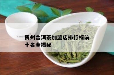 贺州普洱茶加盟店排行榜前十名全揭秘