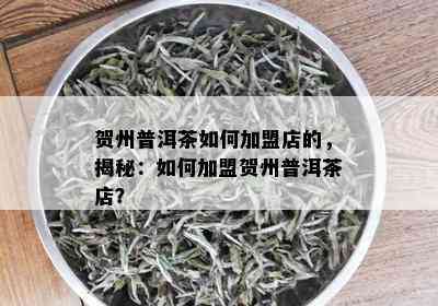 贺州普洱茶如何加盟店的，揭秘：如何加盟贺州普洱茶店？