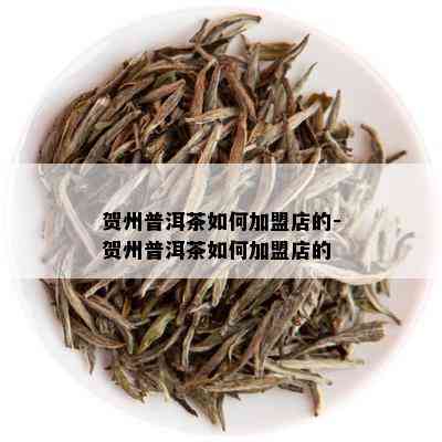 贺州普洱茶如何加盟店的-贺州普洱茶如何加盟店的