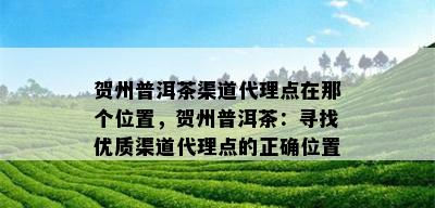 贺州普洱茶渠道代理点在那个位置，贺州普洱茶：寻找优质渠道代理点的正确位置