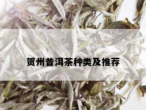 贺州普洱茶种类及推荐