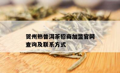 贺州熟普洱茶招商加盟官网查询及联系方式