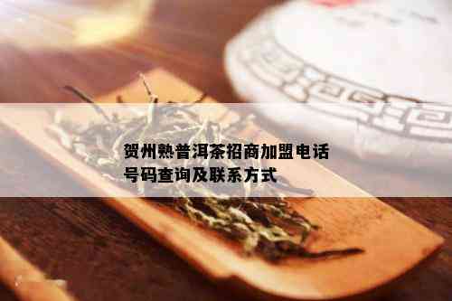 贺州熟普洱茶招商加盟电话号码查询及联系方式