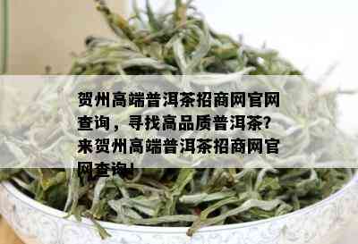 贺州高端普洱茶招商网官网查询，寻找高品质普洱茶？来贺州高端普洱茶招商网官网查询！