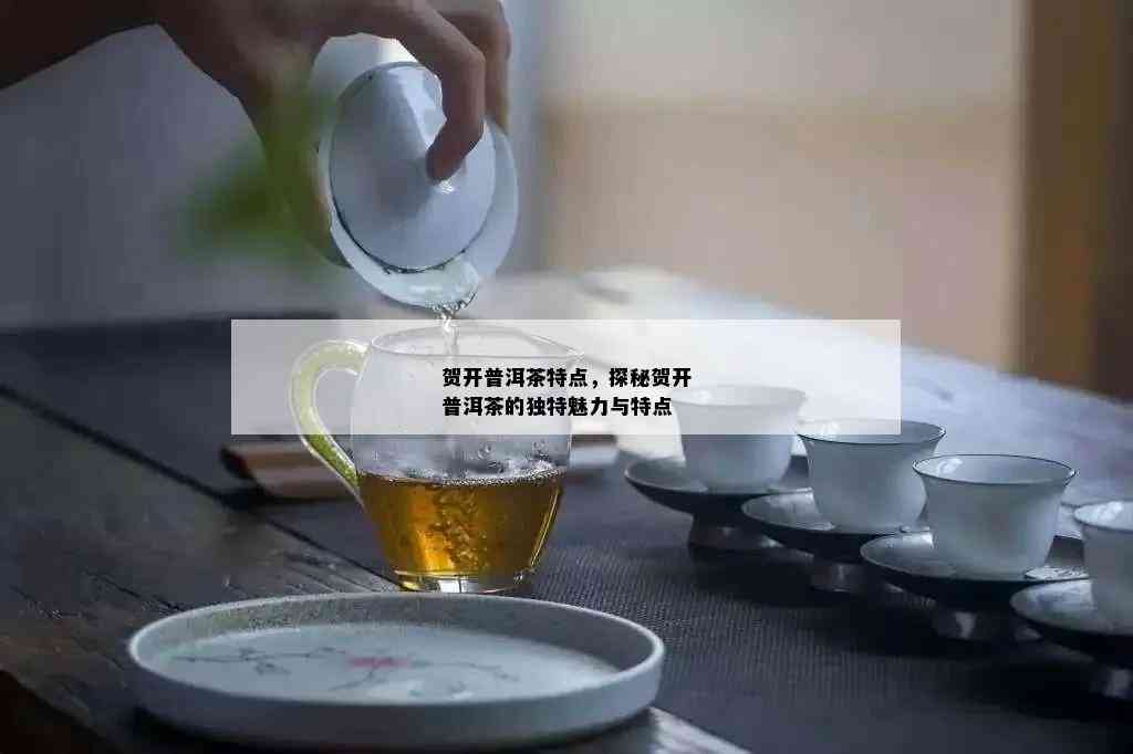 贺开普洱茶特点，探秘贺开普洱茶的独特魅力与特点