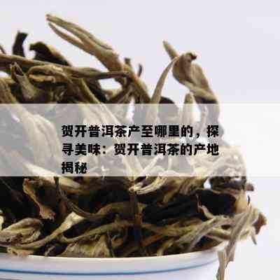 贺开普洱茶产至哪里的，探寻美味：贺开普洱茶的产地揭秘