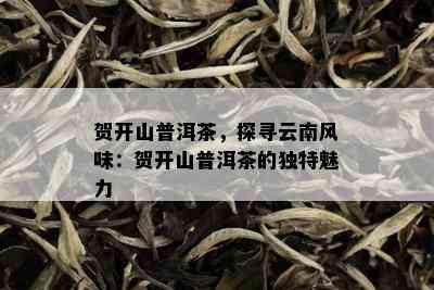 贺开山普洱茶，探寻云南风味：贺开山普洱茶的独特魅力