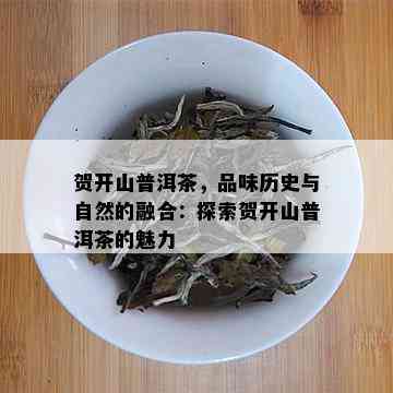 贺开山普洱茶，品味历史与自然的融合：探索贺开山普洱茶的魅力