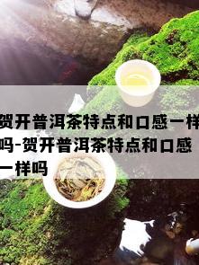 贺开普洱茶特点和口感一样吗-贺开普洱茶特点和口感一样吗