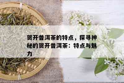 贺开普洱茶的特点，探寻神秘的贺开普洱茶：特点与魅力