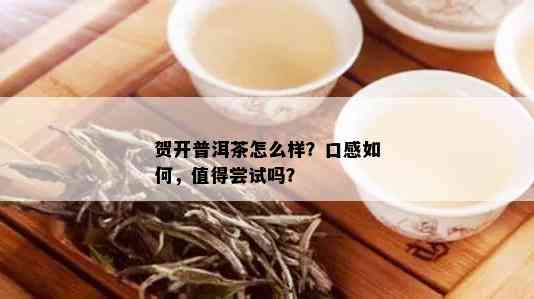 贺开普洱茶怎么样？口感如何，值得尝试吗？