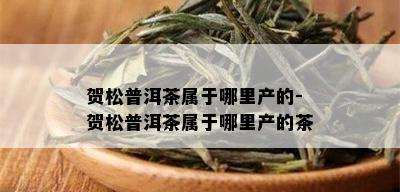 贺松普洱茶属于哪里产的-贺松普洱茶属于哪里产的茶