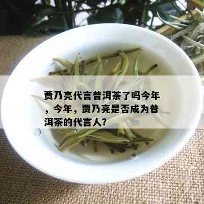 贾乃亮代言普洱茶了吗今年，今年，贾乃亮是否成为普洱茶的代言人？