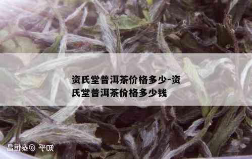 资氏堂普洱茶价格多少-资氏堂普洱茶价格多少钱