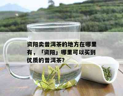 资阳卖普洱茶的地方在哪里有，「资阳」哪里可以买到优质的普洱茶？