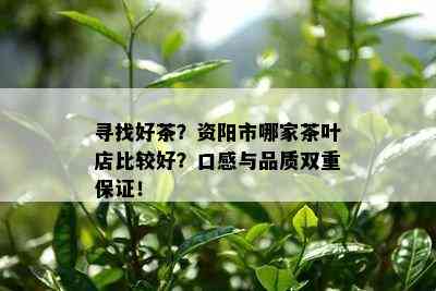 寻找好茶？资阳市哪家茶叶店比较好？口感与品质双重保证！