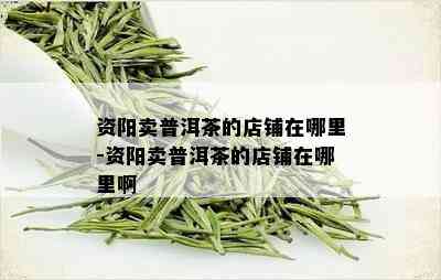 资阳卖普洱茶的店铺在哪里-资阳卖普洱茶的店铺在哪里啊