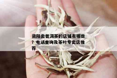 资阳卖普洱茶的店铺有哪些？电话查询及茶叶专卖店推荐