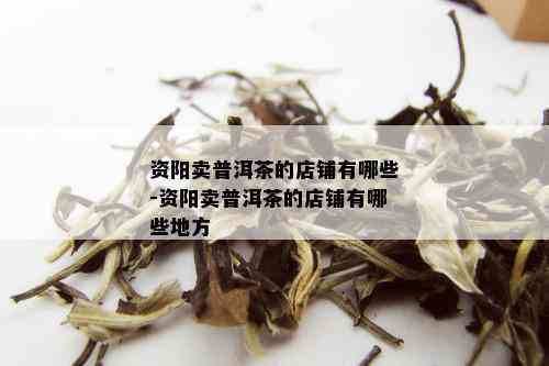 资阳卖普洱茶的店铺有哪些-资阳卖普洱茶的店铺有哪些地方