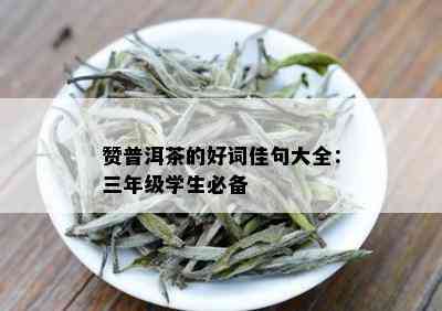 赞普洱茶的好词佳句大全：三年级学生必备