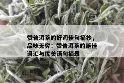 赞普洱茶的好词佳句摘抄，品味无穷：赞普洱茶的绝佳词汇与优美语句摘录