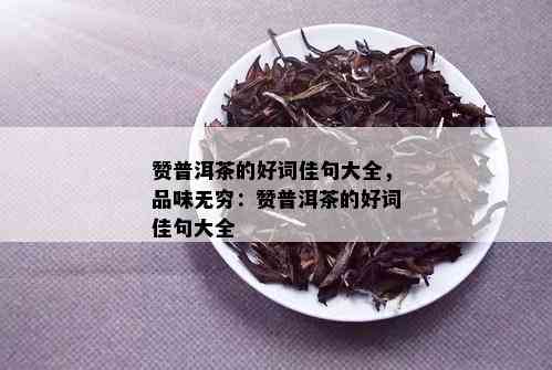 赞普洱茶的好词佳句大全，品味无穷：赞普洱茶的好词佳句大全