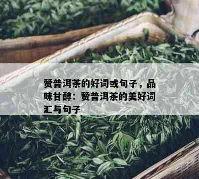 赞普洱茶的好词或句子，品味甘醇：赞普洱茶的美好词汇与句子