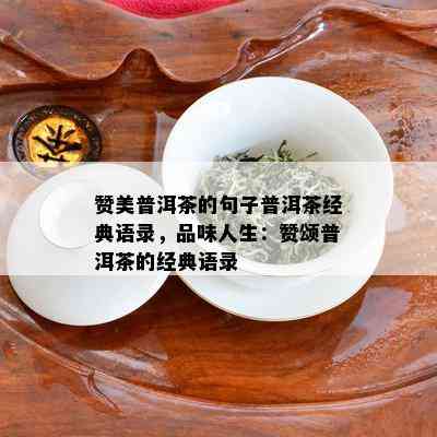 赞美普洱茶的句子普洱茶经典语录，品味人生：赞颂普洱茶的经典语录