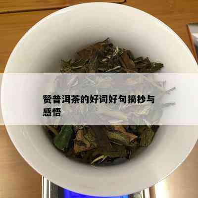 赞普洱茶的好词好句摘抄与感悟