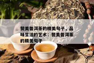 赞美普洱茶的精美句子，品味生活的艺术：赞美普洱茶的精美句子