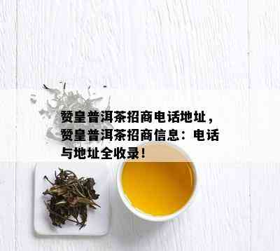 赞皇普洱茶招商电话地址，赞皇普洱茶招商信息：电话与地址全收录！