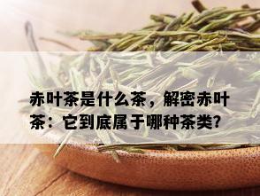 赤叶茶是什么茶，解密赤叶茶：它到底属于哪种茶类？