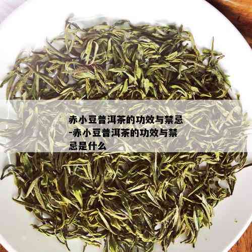 赤小豆普洱茶的功效与禁忌-赤小豆普洱茶的功效与禁忌是什么