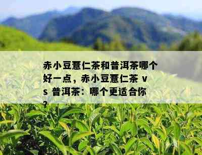 赤小豆薏仁茶和普洱茶哪个好一点，赤小豆薏仁茶 vs 普洱茶：哪个更适合你？