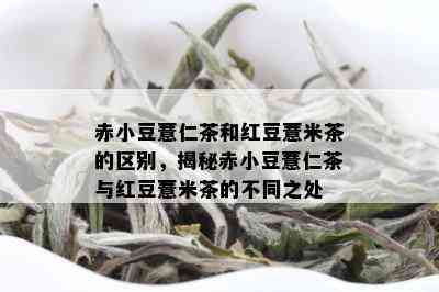 赤小豆薏仁茶和红豆薏米茶的区别，揭秘赤小豆薏仁茶与红豆薏米茶的不同之处