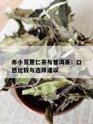 赤小豆薏仁茶与普洱茶：口感比较与选择建议