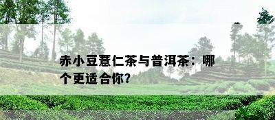 赤小豆薏仁茶与普洱茶：哪个更适合你？