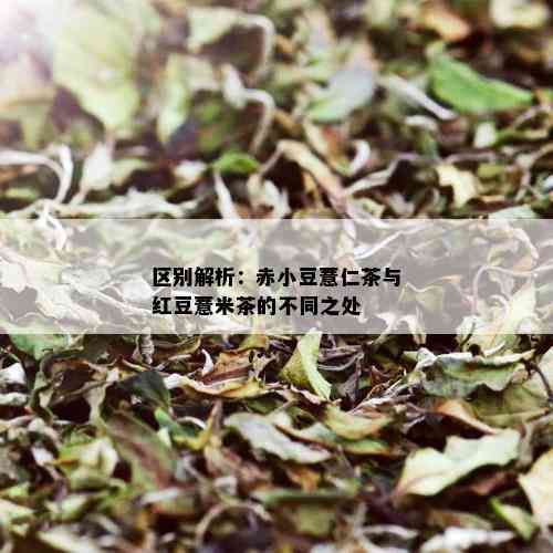 区别解析：赤小豆薏仁茶与红豆薏米茶的不同之处