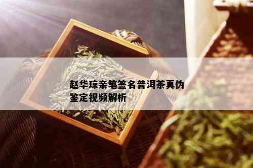 赵华琼亲笔签名普洱茶真伪鉴定视频解析