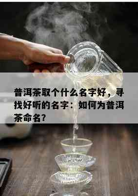 普洱茶取个什么名字好，寻找好听的名字：如何为普洱茶命名？