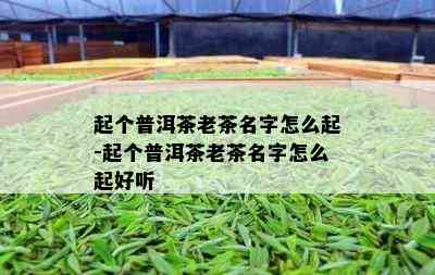 起个普洱茶老茶名字怎么起-起个普洱茶老茶名字怎么起好听