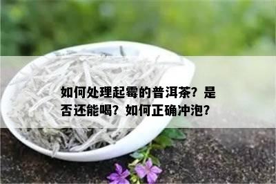 如何处理起霉的普洱茶？是否还能喝？如何正确冲泡？