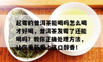 起霉的普洱茶能喝吗怎么喝才好喝，普洱茶发霉了还能喝吗？教你正确处理方法，让你重新爱上这口醇香！